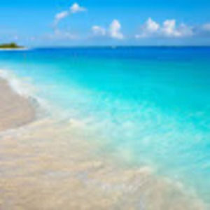 Meet your Posher, Wish